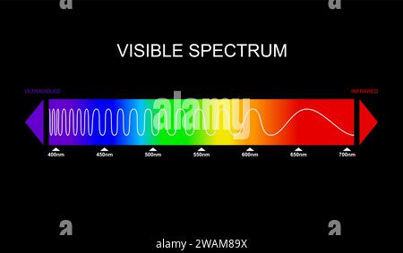 Spectre, diagramme de lumière visible. Partie du spectre électromagnétique visible à l'œil humain. Spectre électromagnétique de couleur, onde lumineuse Illustration de Vecteur