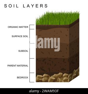 Les couches de sol dessinent la texture de la terre, les pierres. Sol avec de l'herbe verte sur le dessus. Particules minérales, sable, humus et pierres, engrais naturel. Infos géologie Illustration de Vecteur