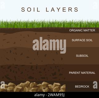 Les couches de sol dessinent la texture de la terre, les pierres. Sol avec de l'herbe verte sur le dessus. Particules minérales, sable, humus et pierres, engrais naturel. Infos géologie Illustration de Vecteur