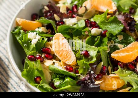 Salade d'hiver saine biologique crue avec oranges Feta et amandes Banque D'Images