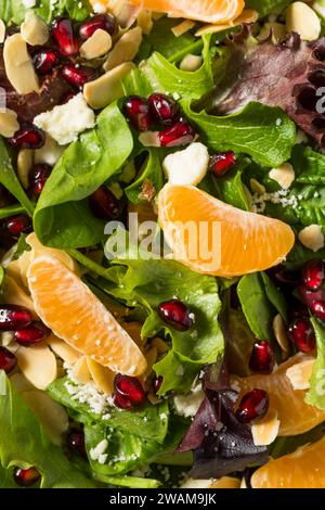 Salade d'hiver saine biologique crue avec oranges Feta et amandes Banque D'Images