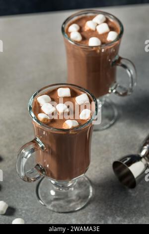Chocolat chaud au cacao chaud et boozy dans une tasse avec des guimauves Banque D'Images