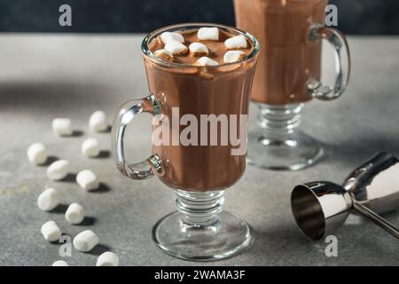 Chocolat chaud au cacao chaud et boozy dans une tasse avec des guimauves Banque D'Images