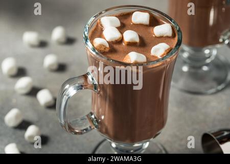Chocolat chaud au cacao chaud et boozy dans une tasse avec des guimauves Banque D'Images