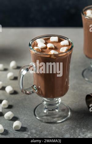 Chocolat chaud au cacao chaud et boozy dans une tasse avec des guimauves Banque D'Images