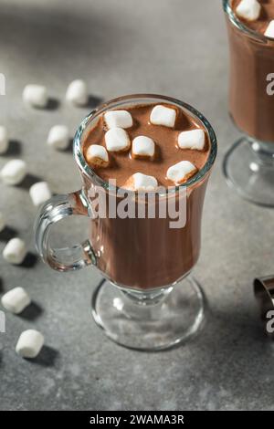 Chocolat chaud au cacao chaud et boozy dans une tasse avec des guimauves Banque D'Images