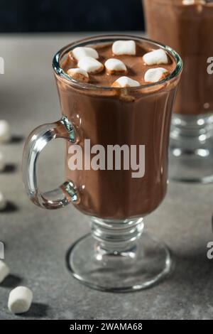 Chocolat chaud au cacao chaud et boozy dans une tasse avec des guimauves Banque D'Images