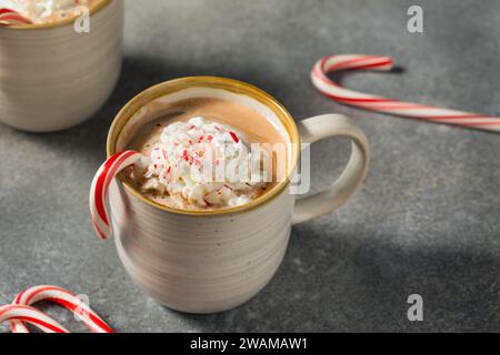 Chocolat chaud Cocao à la menthe poivrée et à la crème fouettée Banque D'Images