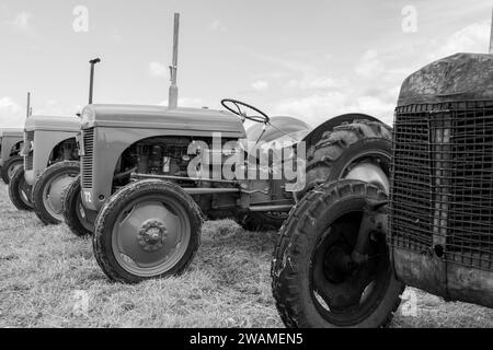 Low Ham.Somerset.Royaume-Uni.23 juillet 2023.Une rangée de tracteurs Massey Ferguson d'époque est exposée au Somerset Steam and Country Show Banque D'Images