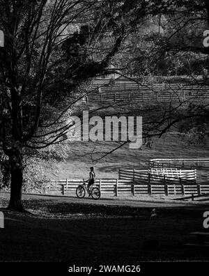 Les cyclistes et les marcheurs profitent d'une chaude après-midi d'automne sur le populaire Virginia Creeper Trail à Abingdon, en Virginie. Banque D'Images