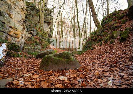 Devil gorge à l'Eifel, Teufelsschlucht avec rochers puissants et canyon, sentier de randonnée en Allemagne, formation rocheuse de grès, automne Banque D'Images