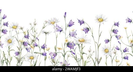 Aquarelle de bordure sans couture Daisy et bluebell. Illustration dessinée à la main de camomille. Fleur de fleur blanche et violette sur fond isolé. Dessin Banque D'Images