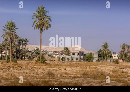 Les palmiers et les maisons à la périphérie de la ville palestinienne de Jéricho en Cisjordanie, Palestine. Banque D'Images