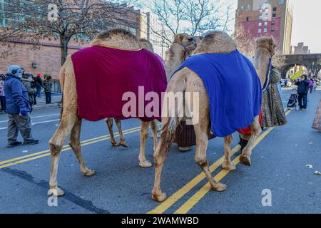 New York, New York, États-Unis. 5 janvier 2024. El Museo del Barrio a présenté la 47e édition annuelle de Three Kings Parade à Harlem New York. Mettant en vedette des chameaux, des chars, de la musique live, des milliers de participants ont célébré le jour où les trois sages ont vu bébé Jésus pour la première fois et lui ont apporté des cadeaux. Cadeaux d'or, d'encens et de myrrhe. Les écoliers portant des couronnes défilent le long du parcours du défilé. (Image de crédit : © Milo Hess/ZUMA Press Wire) USAGE ÉDITORIAL SEULEMENT! Non destiné à UN USAGE commercial ! Crédit : ZUMA Press, Inc./Alamy Live News Banque D'Images