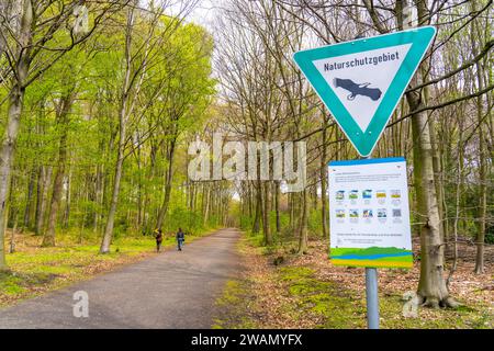 La forêt de Sterkrader à Oberhausen, à la jonction de l'autoroute Oberhausen, où les A2/A3A/A516 se rejoignent, il doit être agrandi, 11 hectares de forêt, aro Banque D'Images