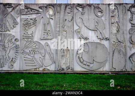 Détails de la fresque en béton à l'extérieur du bâtiment Darwin de l'Université de Lyon, France réalisée par Morog Banque D'Images