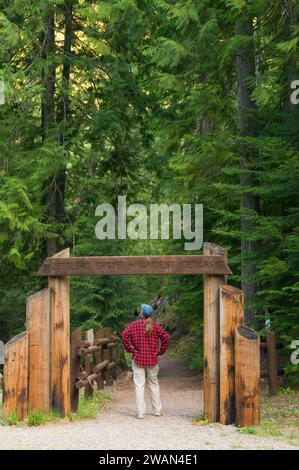 Entrée de Grove, Settlers Grove of Ancient Cedars Botanical Area, coeur d'Alene National Forest, Idaho Banque D'Images