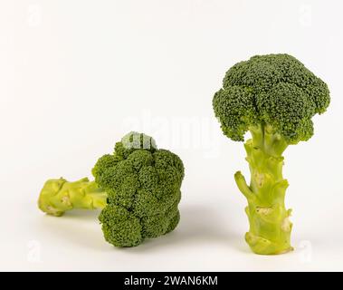 Deux têtes de brocoli sont isolées sur fond blanc. Banque D'Images