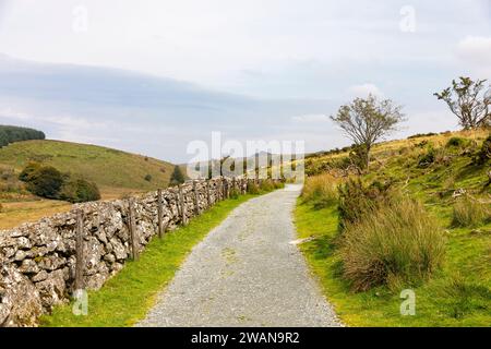 Parc national de Dartmoor, sentier pédestre à côté du mur de pierre sèche menant au bois de chêne de Wistmans dans la vallée de West Dart, Devon, Angleterre, Royaume-Uni, 2023 Banque D'Images