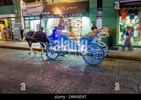 Merida Mexique, centro historico quartier historique central, vie nocturne, calèche tirée par des chevaux kalesa, homme hommes hommes hommes, femme femme femme femme femme, adultes, outsi Banque D'Images