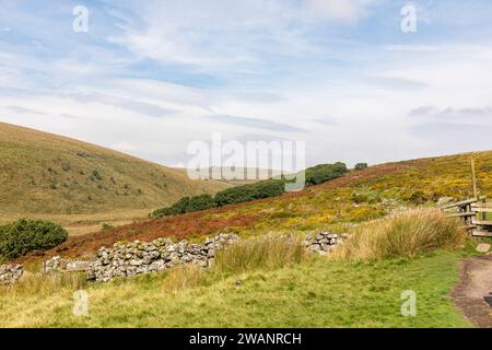 Parc national de Dartmoor, vue sur le bois de Wistmans, site d'intérêt scientifique particulier, Devon, Angleterre, Royaume-Uni, 2023 Banque D'Images