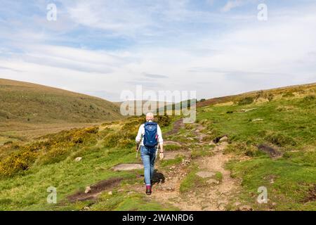 Wistmans Wood Dartmoor parc national, modèle libéré femme marchant vers les bois de chêne ( photo) à travers le paysage de Dartmoor automne 2023, Angleterre, Royaume-Uni Banque D'Images