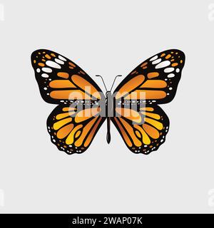 Illustration vectorielle dessinée à la main par papillon monarque Illustration de Vecteur