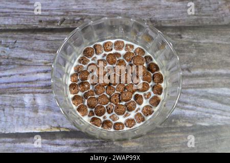 Petit déjeuner boules aromatisées au chocolat céréales, comme une collation préparée avec du lait pour les enfants et les adultes, croustillantes boules aromatisées au chocolat croquantes, sélectif f Banque D'Images