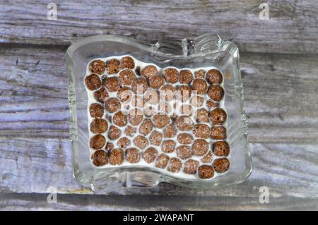 Petit déjeuner boules aromatisées au chocolat céréales, comme une collation préparée avec du lait pour les enfants et les adultes, croustillantes boules aromatisées au chocolat croquantes, sélectif f Banque D'Images