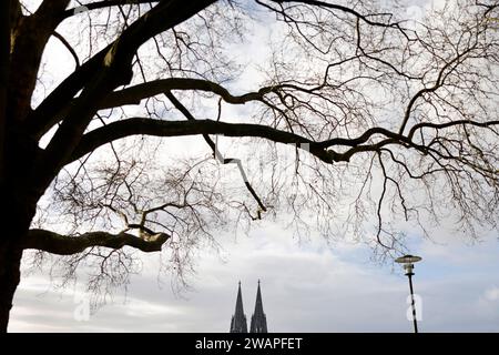 Der Kölner Dom gesehen vom Deutzer Rheinufer aus. In der größten NRW-Stadt Köln mit gut einer million Einwohnern gab es im Zeitraum Januar 2023 bis einschließlich November 14,430 Kirchenaustritte. Themenbild, Symbolbild Köln, 04.01.2024 NRW Deutschland *** Cathédrale de Cologne vue des rives du Rhin à Deutz à Cologne, la plus grande ville de Rhénanie du Nord-Westphalie avec une population d'un peu plus d'un million, 14 430 personnes ont quitté l'église entre janvier 2023 et novembre image thématique, image symbolique Cologne, 04 01 2024 NRW Allemagne Copyright : xChristophxHardtx Banque D'Images