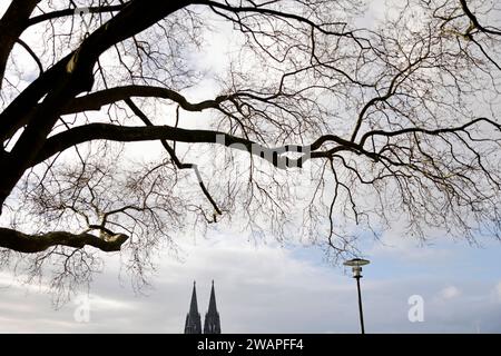 Der Kölner Dom gesehen vom Deutzer Rheinufer aus. In der größten NRW-Stadt Köln mit gut einer million Einwohnern gab es im Zeitraum Januar 2023 bis einschließlich November 14,430 Kirchenaustritte. Themenbild, Symbolbild Köln, 04.01.2024 NRW Deutschland *** Cathédrale de Cologne vue des rives du Rhin à Deutz à Cologne, la plus grande ville de Rhénanie du Nord-Westphalie avec une population d'un peu plus d'un million, 14 430 personnes ont quitté l'église entre janvier 2023 et novembre image thématique, image symbolique Cologne, 04 01 2024 NRW Allemagne Copyright : xChristophxHardtx Banque D'Images