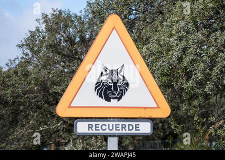 Animaux sauvages devant signal, lynx ibérique, Lynx pardinus, avec la phrase se souvenir en espagnol, Andújar, Jaén, Andalousie, Espagne Banque D'Images