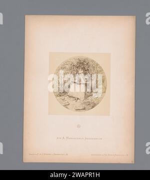 Production photographique d'un croquis d'une fille lisant un livre, par Albert Hendschel, Theodor Huth, d'après Albert Hendschel, c. 1865 - dans ou avant c. 1870 photographie cette photo fait partie d'une couverture avec 50 photos sur 48 feuilles, une liste d'images et une page de titre. Frankfurt am main support photographique albumen print girl (enfant entre tout-petit et jeune). lecture Banque D'Images