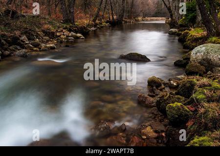 Une scène extérieure pittoresque avec un ruisseau à Garganta de Pedro Chat, Jaraiz de la Vera, Espagne Banque D'Images