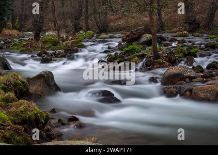 Une scène extérieure pittoresque avec un ruisseau à Garganta de Pedro Chat, Jaraiz de la Vera, Espagne Banque D'Images