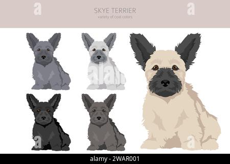 Skye terrier chiots couleurs de manteau, différentes poses clipart. Illustration vectorielle Illustration de Vecteur