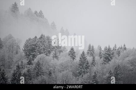 Garmisch Partenkirchen, Allemagne. 06 janvier 2024. De légères chutes de neige peignent le paysage d'un blanc hivernal. Crédit : Angelika Warmuth/dpa/Alamy Live News Banque D'Images