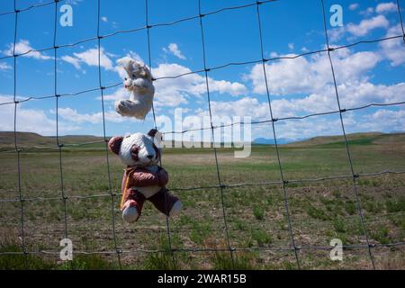 Great Falls, MT, États-Unis - 1 juillet 2022 : une variété d'animaux en peluche, jouets pour enfants, suspendus à une clôture filaire qui est située sur une prairie au milieu Banque D'Images