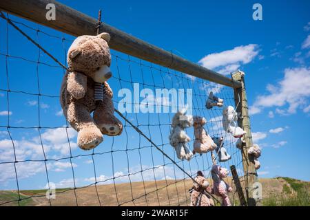 Great Falls, MT, États-Unis - 1 juillet 2022 : une variété d'animaux en peluche, jouets pour enfants, suspendus à une clôture filaire qui est située sur une prairie au milieu Banque D'Images