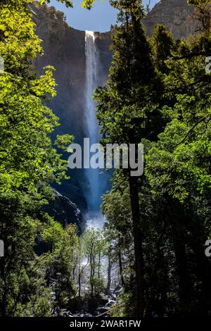 C'est celui-là, celui qu'Ansel Adams a rendu célèbre dans son cliché de Yosemite Valley d'inspiration point. Bridalveil Fall est l’un des plus populaires de Yosemite Banque D'Images