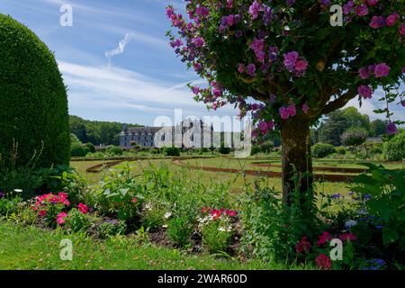 Grande et belle composition de fleurs, arbre et le splendide château de Chenonceaux en France avec une journée ensoleillée Banque D'Images