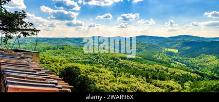 Vue panoramique depuis le château de Wartburg sur la forêt de Thuringe, Eisenach, Thuringe, Allemagne Banque D'Images