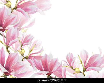 Bannière florale, cadre avec des fleurs de magnolias rose aquarelle, des bourgeons et des feuilles peintes à la main illustration isolée sur fond blanc. Botanique Banque D'Images