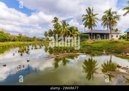 Laman PADI (Paddy Field) est un musée en plein air à Langkawi, Kedah, Malaisie, le visiteur peut apprendre la culture du riz et l'histoire de la riziculture Banque D'Images