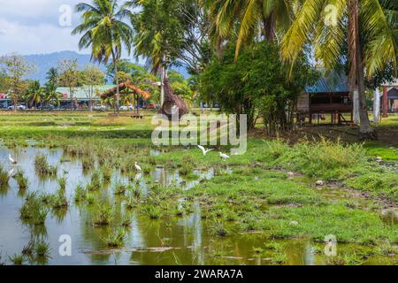 Laman PADI (Paddy Field) est un musée en plein air à Langkawi, Kedah, Malaisie, le visiteur peut apprendre la culture du riz et l'histoire de la riziculture Banque D'Images