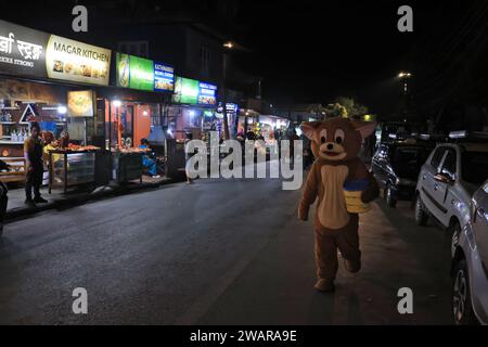 Pokhara, Népal - novembre 17 2023 : l'extérieur du Pokhara Disyneyland Fun Amusement Park, c'est un seul parc d'attractions à Pokhara. Banque D'Images