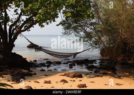 Un hamac est attaché entre deux palmiers sur une plage de sable baignée de soleil, créant un cadre extérieur relaxant pour une journée d'été Banque D'Images