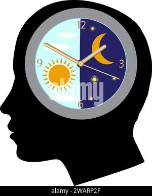 Un rythme circadien ou cycle circadien. Horloge biologique circadienne humaine. Insomnie et troubles du sommeil. Cycle de veille. Illustration de Vecteur