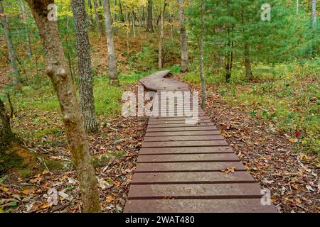 Promenade en bois longue et sinueuse à travers les bois normalement une zone marécageuse, mais est sèche en raison de la sécheresse entourée de feuilles tombées en automne Banque D'Images