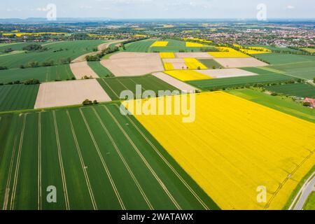 vue aérienne d'un champ de tournesols et de colza Banque D'Images